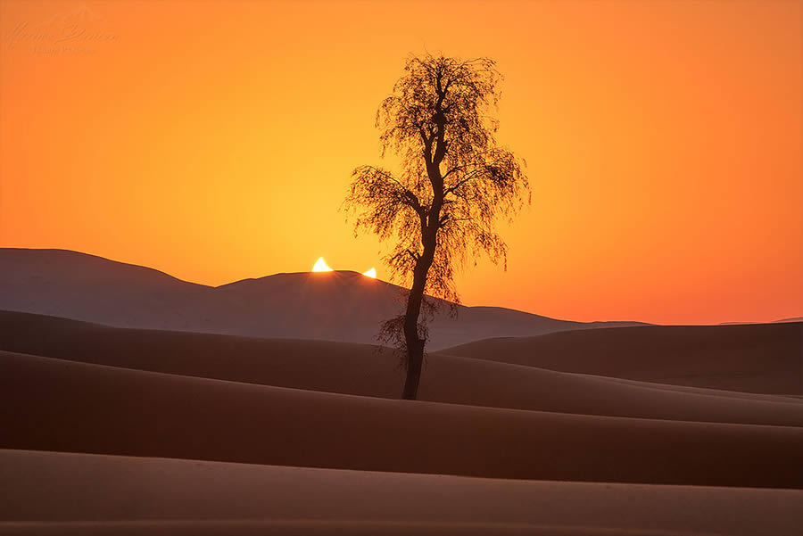 The Empty Quarter Expansive Deserts By Maxime Daviron