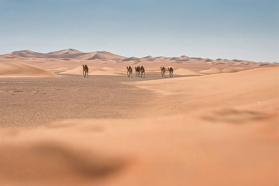 The Empty Quarter Expansive Deserts By Maxime Daviron