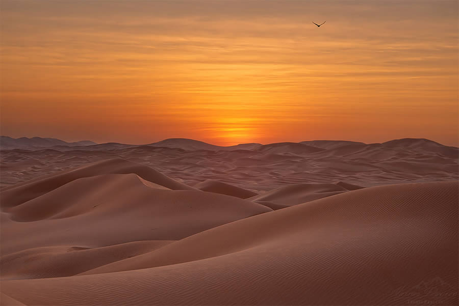 The Empty Quarter Expansive Deserts By Maxime Daviron