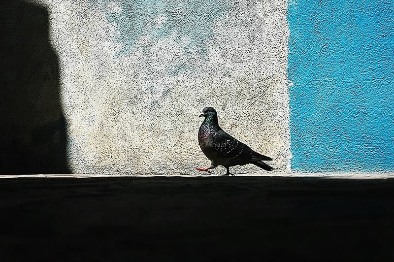 Abstract Colorful Street Photography By Mirko Saviane