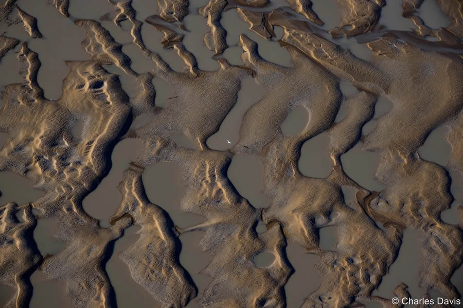 2024 Australian Geographic Nature Photographer of the Year Winners