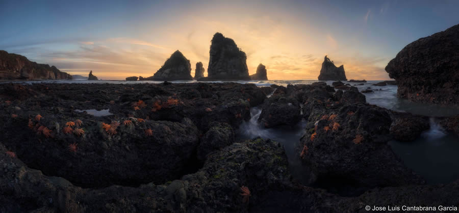 2024 Australian Geographic Nature Photographer of the Year Winners