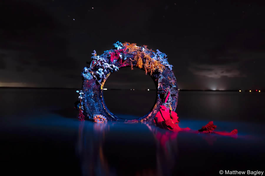 2024 Australian Geographic Nature Photographer of the Year Winners