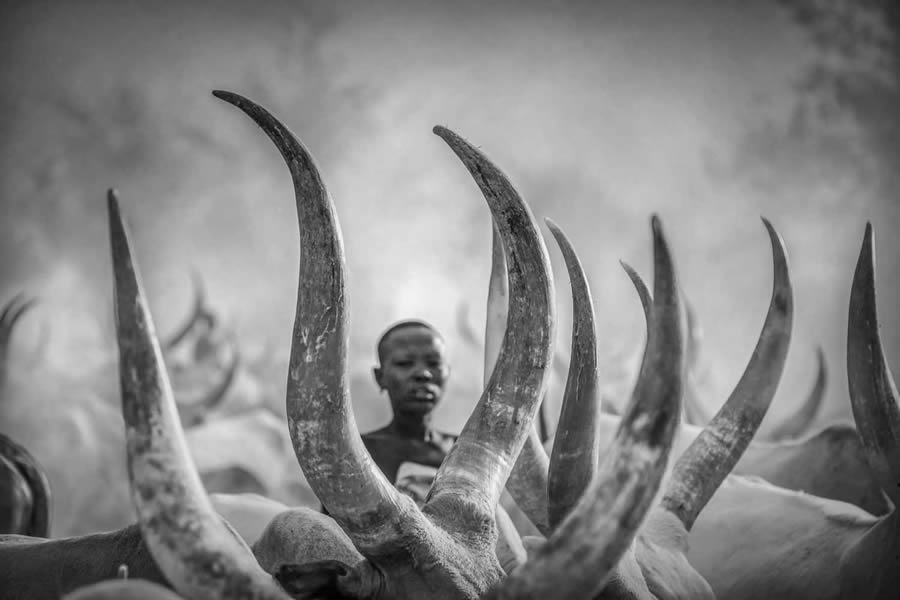 Black And White Photo Awards 2024 Winners