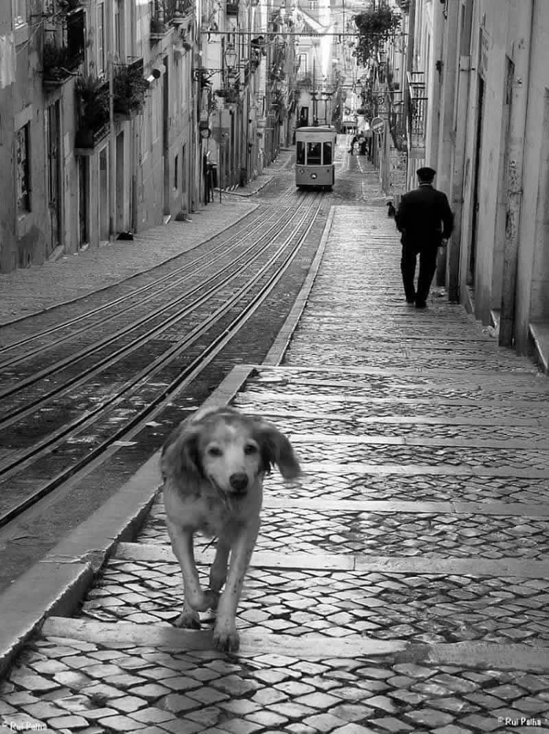 Black And Street Photography By Rui Palha