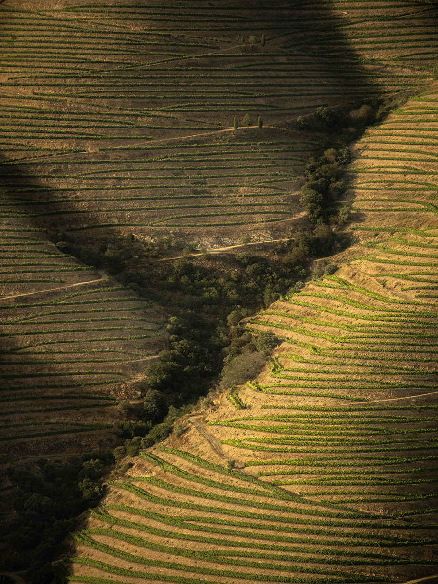 Landscape Photos Of Douro Valley By Tiago And Tania