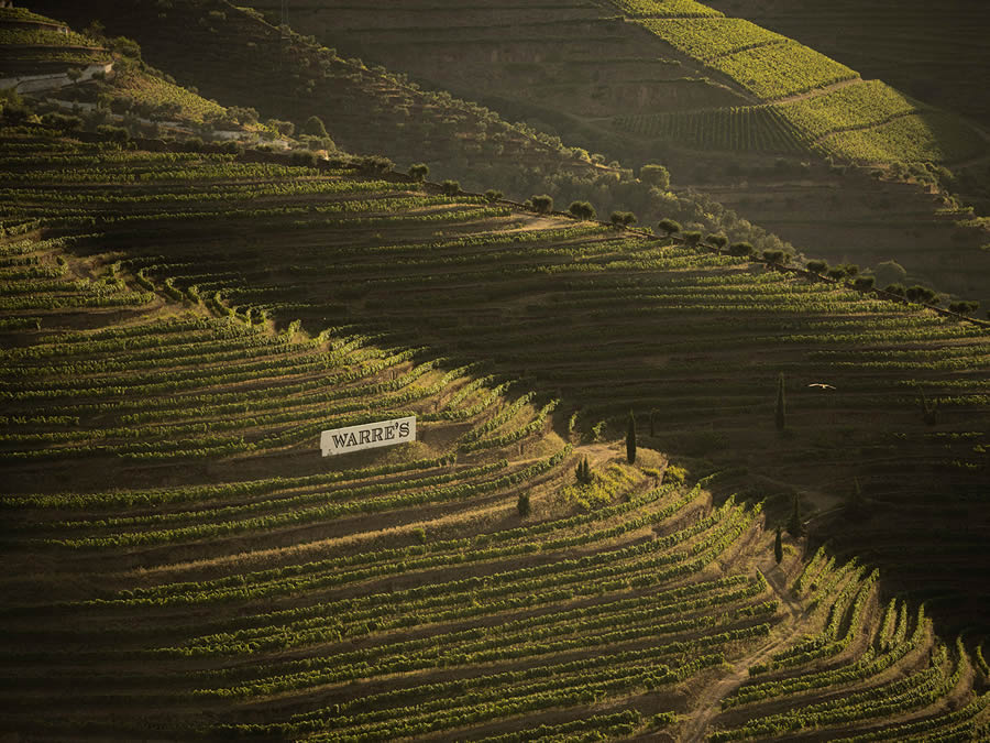 Landscape Photos Of Douro Valley By Tiago And Tania