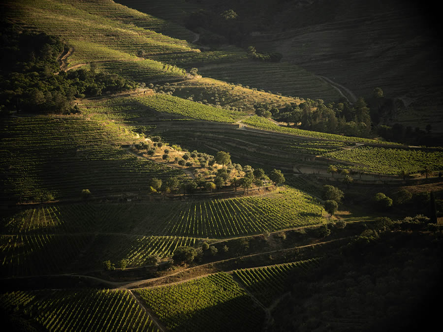 Landscape Photos Of Douro Valley By Tiago And Tania