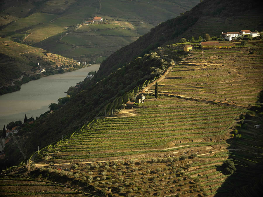 Landscape Photos Of Douro Valley By Tiago And Tania