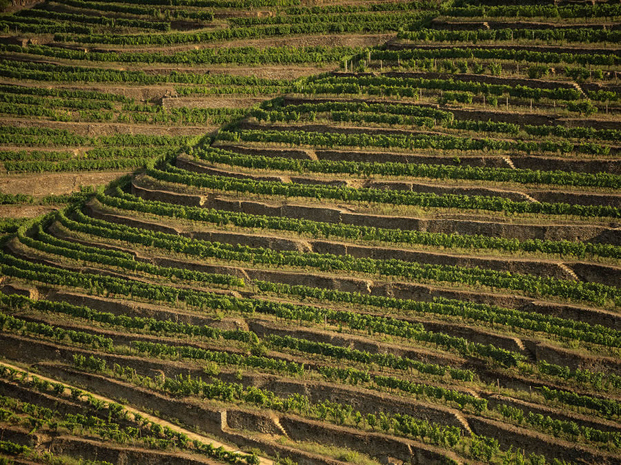 Landscape Photos Of Douro Valley By Tiago And Tania