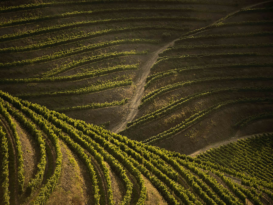 Landscape Photos Of Douro Valley By Tiago And Tania