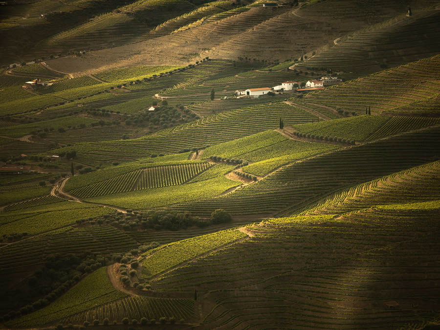 Landscape Photos Of Douro Valley By Tiago And Tania