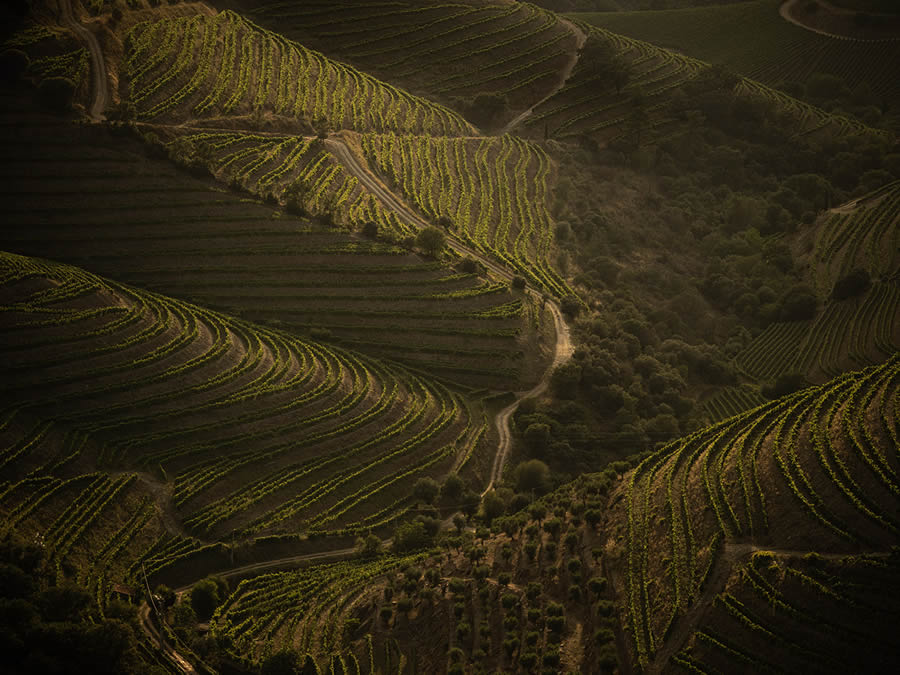 Landscape Photos Of Douro Valley By Tiago And Tania