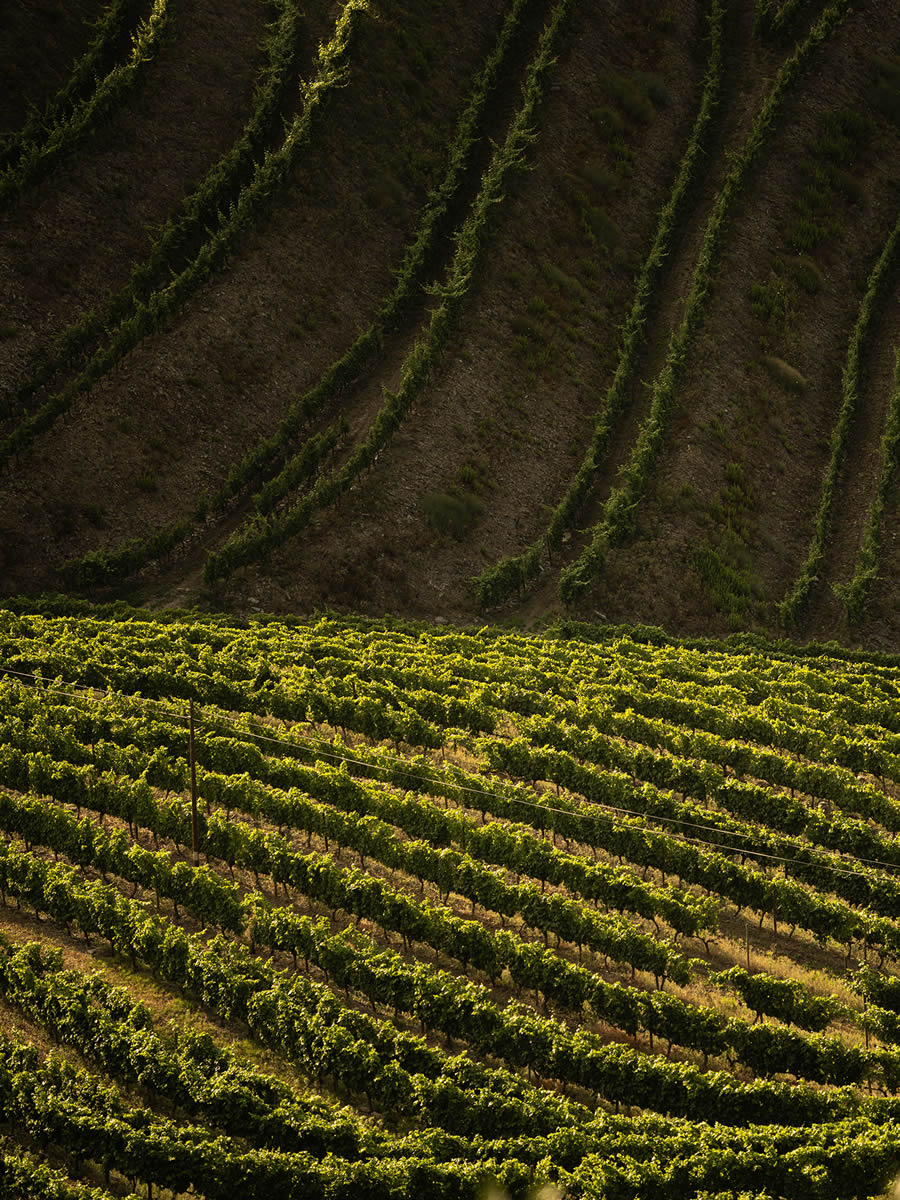 Landscape Photos Of Douro Valley By Tiago And Tania