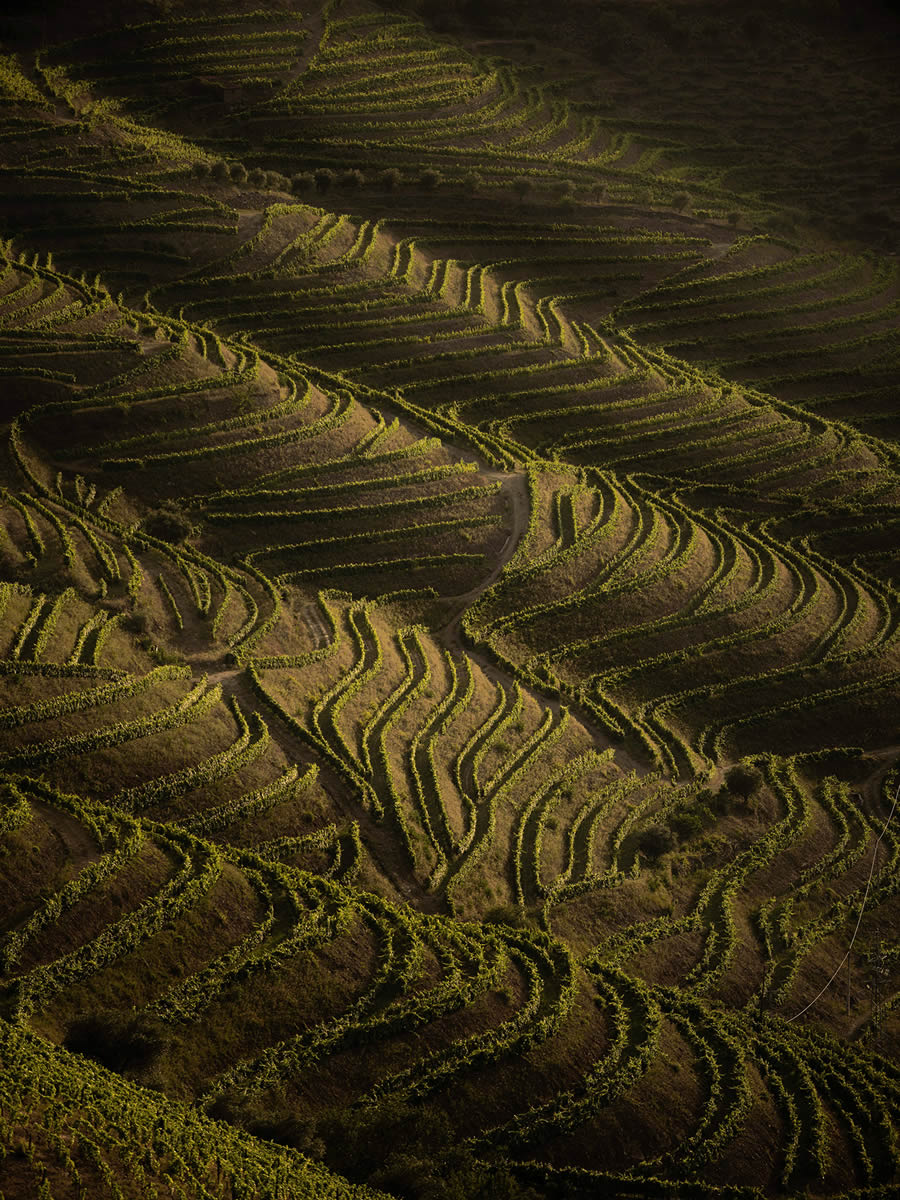 Landscape Photos Of Douro Valley By Tiago And Tania