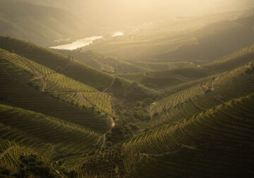 Landscape Photos Of Douro Valley By Tiago And Tania