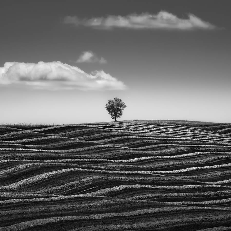 Amateur Landscape Fine Art Photography Awards 2024