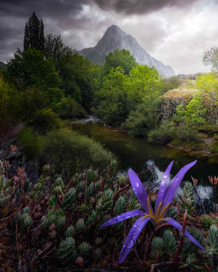 Amateur Landscape Fine Art Photography Awards 2024