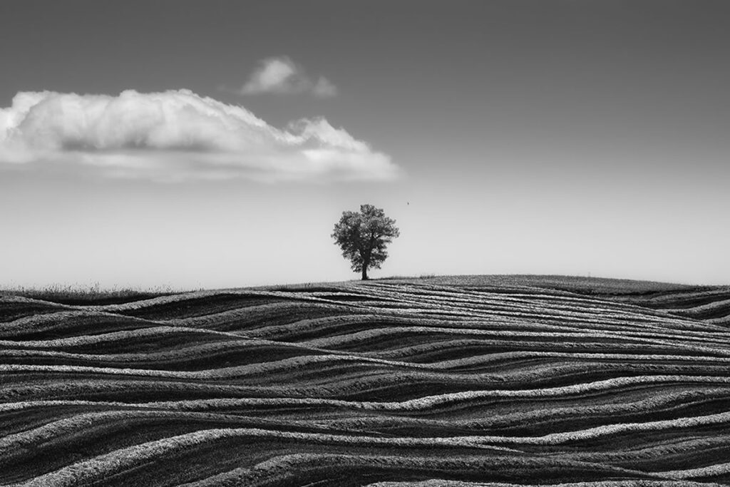 Amateur Landscape Fine Art Photography Awards 2024