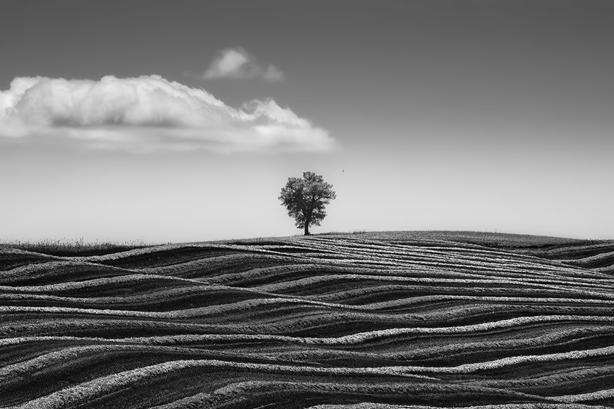 Amateur Landscape Fine Art Photography Awards 2024