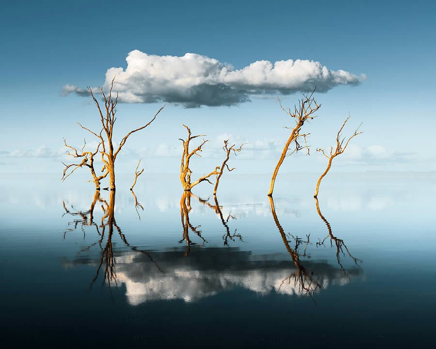 Nature Winning Photos Of Fine Art Photography Awards 2024