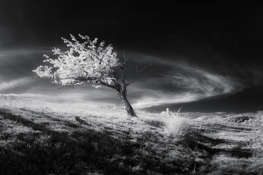 Landscape Winners Of Fine Art Photography Awards 2024