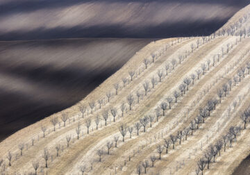 Landscape Winners Of Fine Art Photography Awards 2024