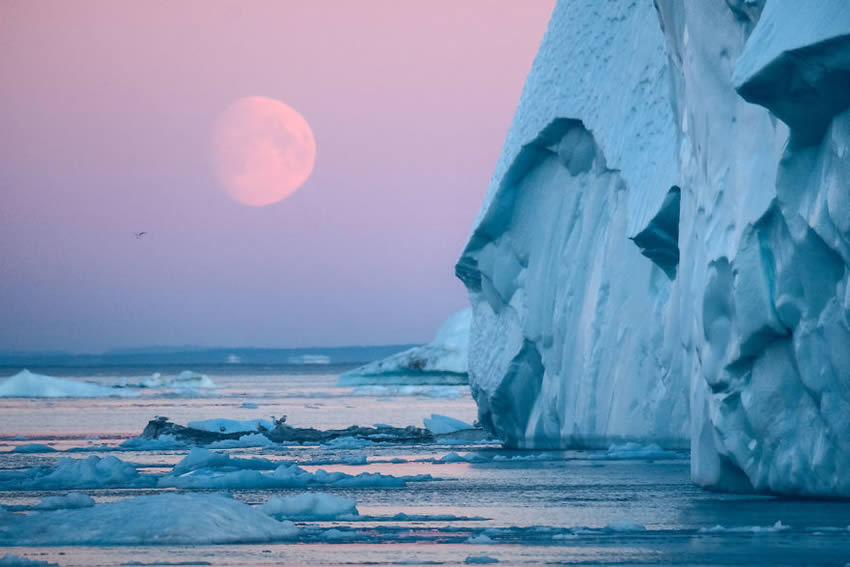 Greenland Ilulissat Icefjord Landscapes By Maria Sahai