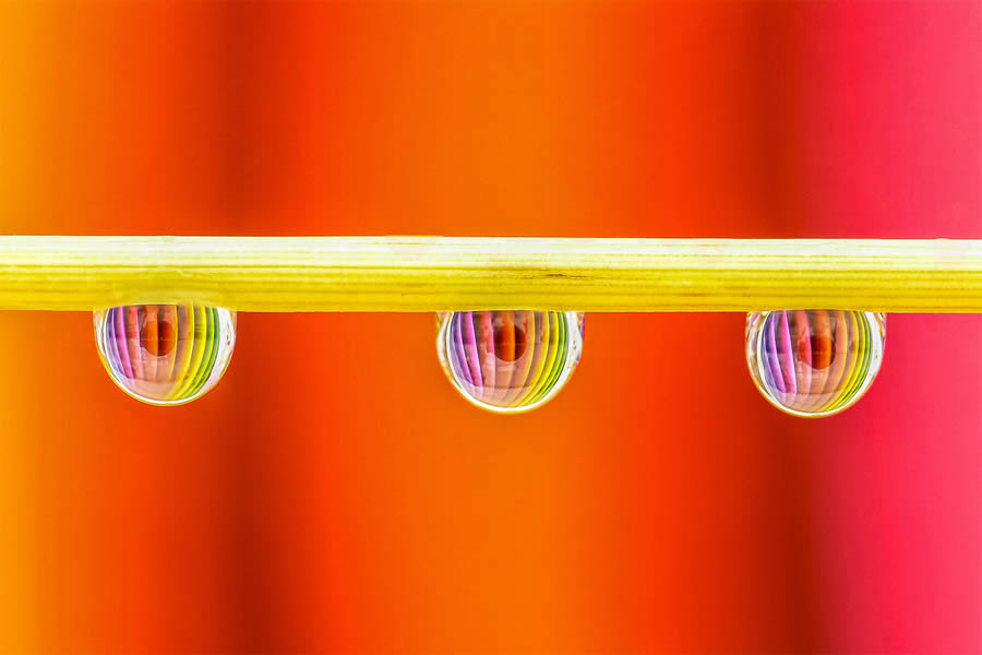 Macro Photos Of Water Drops By Antonio Pereira