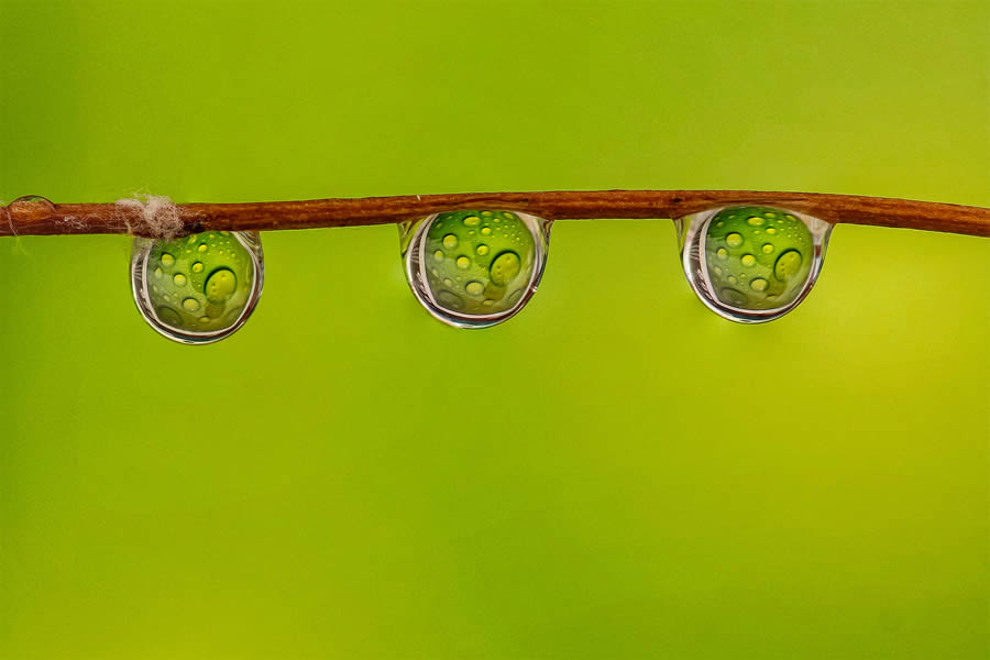 Macro Photos Of Water Drops By Antonio Pereira