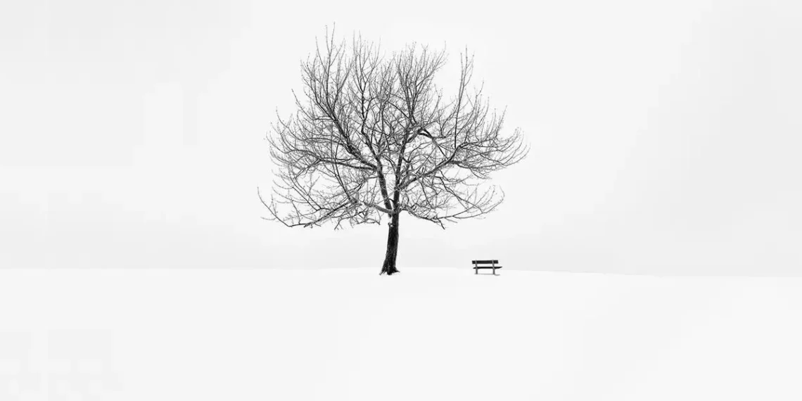 Art Of Minimalism: Poetic Black And White Photography By Nina Papiorek 31 minimalism black and white photography nina papiorek
