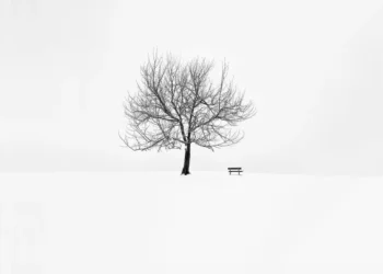 minimalism black and white photography nina papiorek