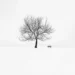 Art Of Minimalism: Poetic Black And White Photography By Nina Papiorek 17 minimalism black and white photography nina papiorek