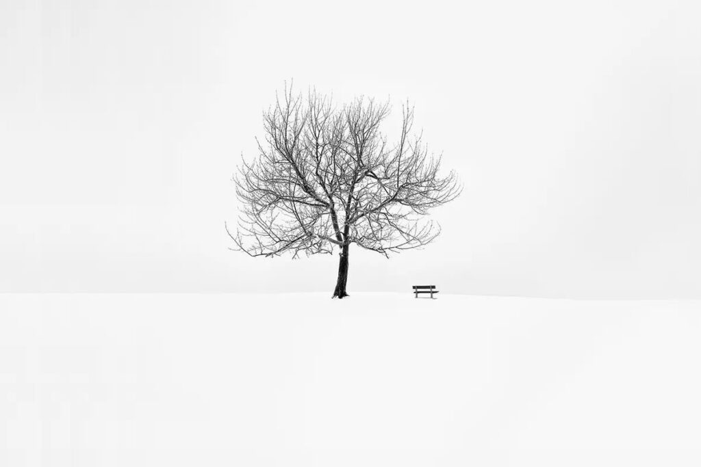 Poetic Black And White Photography By Nina Papiorek