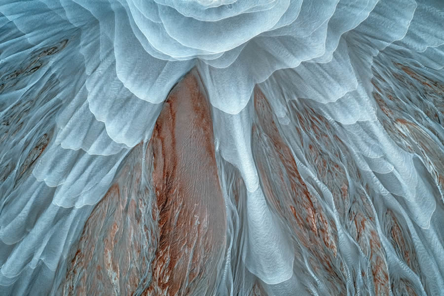 2024 Prix De La Photographie Nature Awards Winners