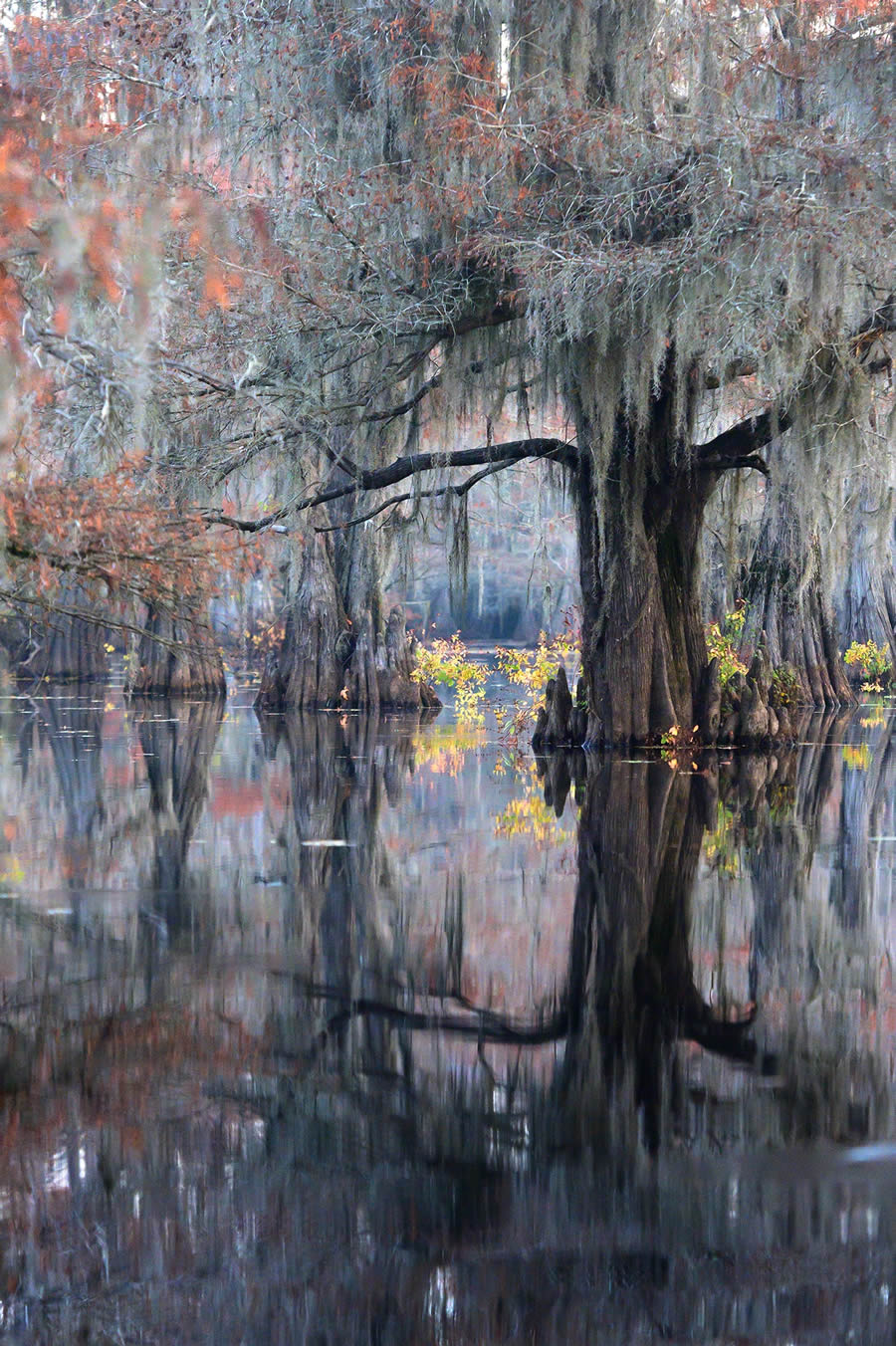 2024 Prix De La Photographie Nature Awards Winners