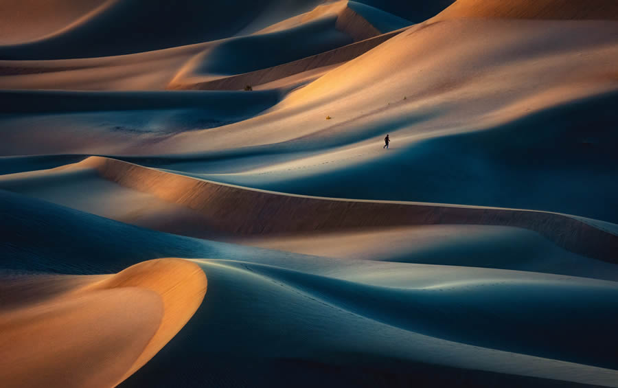 2024 Prix De La Photographie Nature Awards Winners