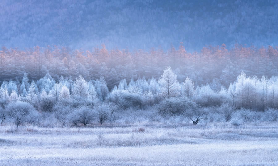 2024 Prix De La Photographie Nature Awards Winners