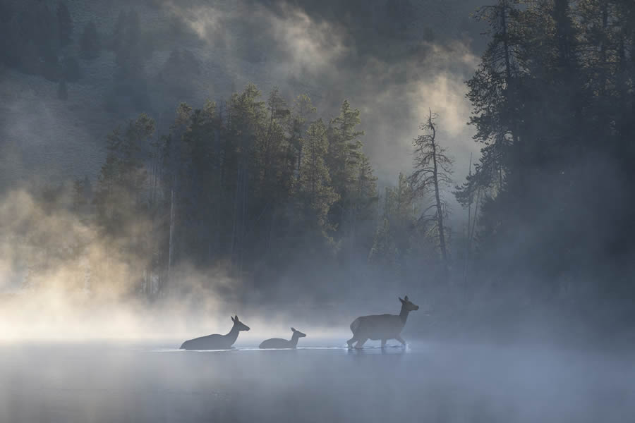 2024 Prix De La Photographie Nature Awards Winners