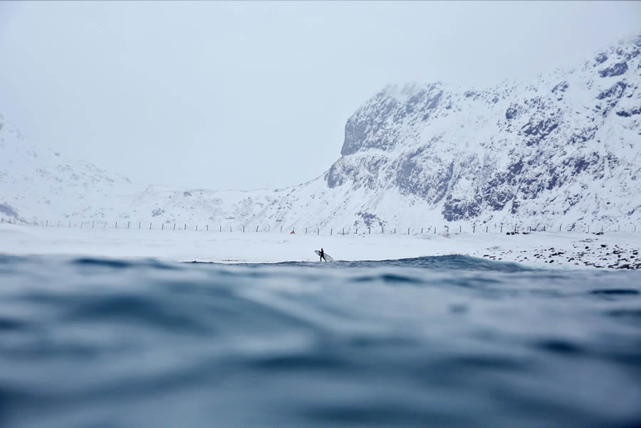 Ocean Photographer Of The Year 2024 Finalists