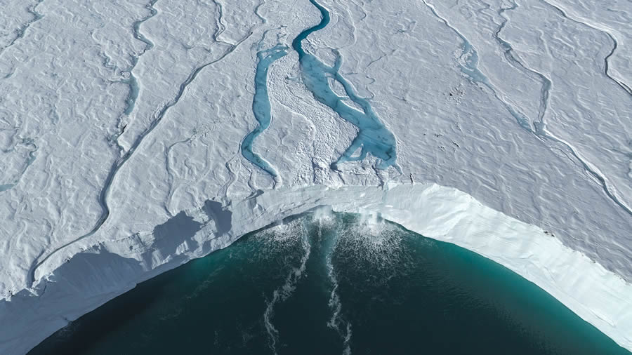 Ocean Photographer Of The Year 2024 Finalists