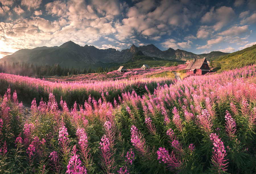 Polish Tatra Mountains Landscape Photography By Karol Nienartowicz