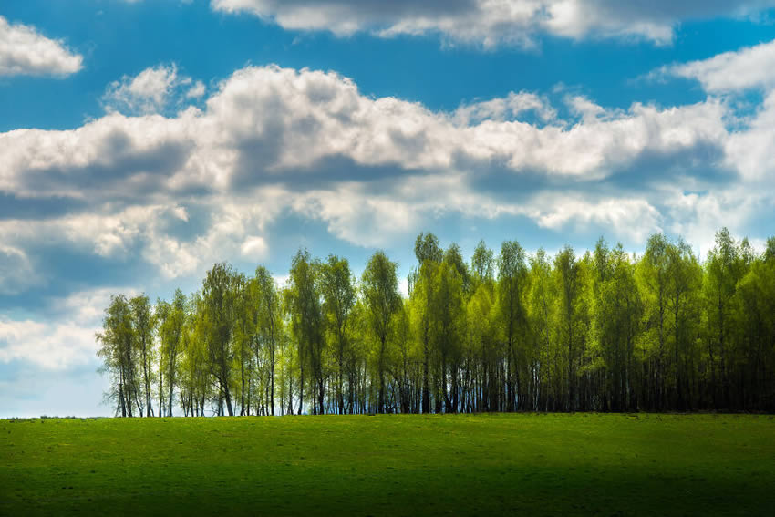 Romania in Spring By Alex Robciuc