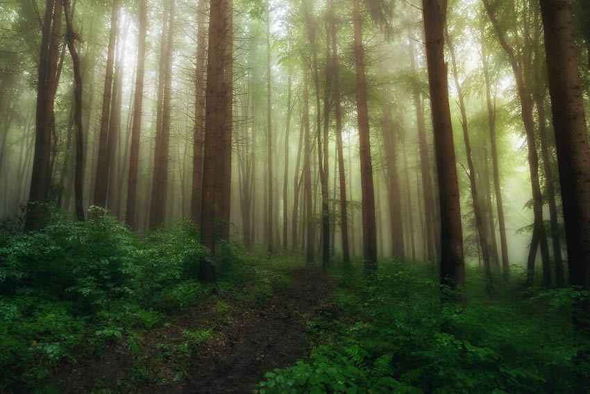 Romania in Spring By Alex Robciuc