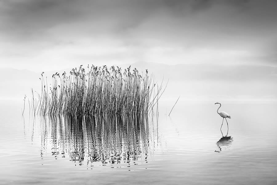 Black And White Landscape Photography By George Digalakis