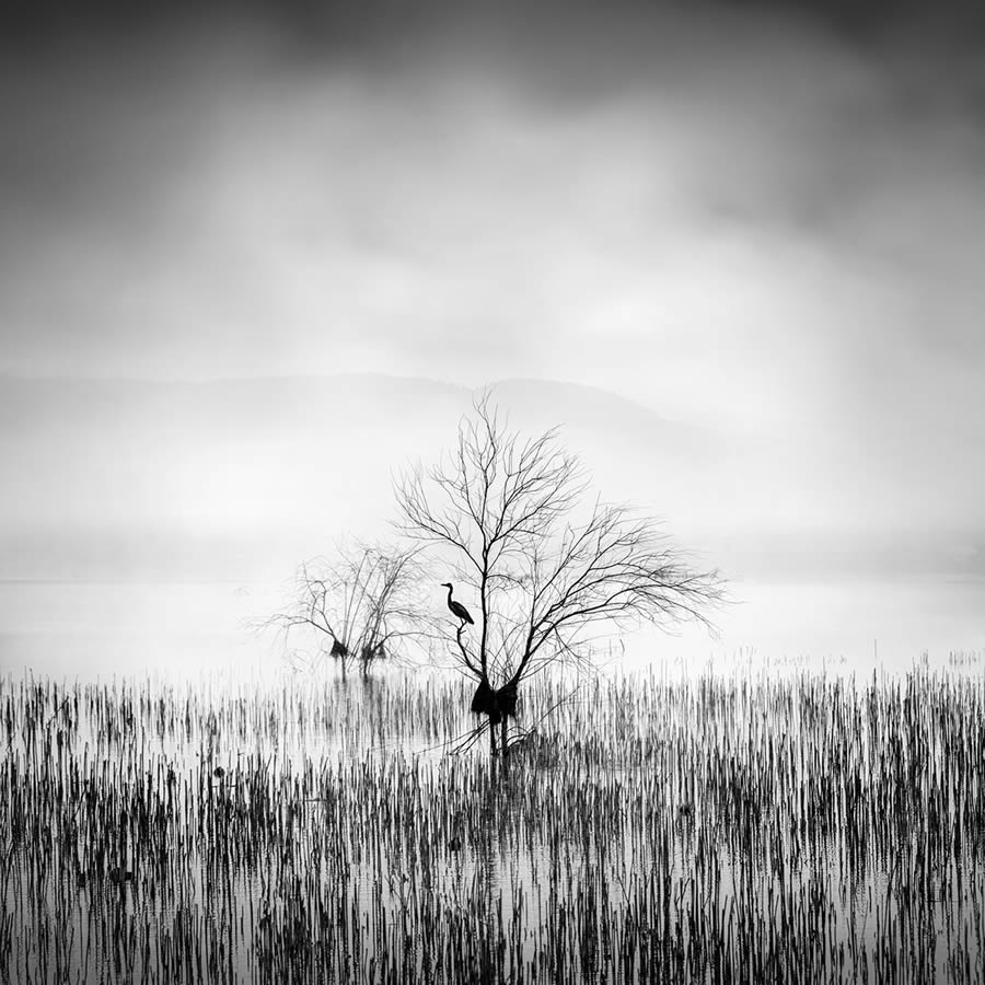 Black And White Landscape Photography By George Digalakis