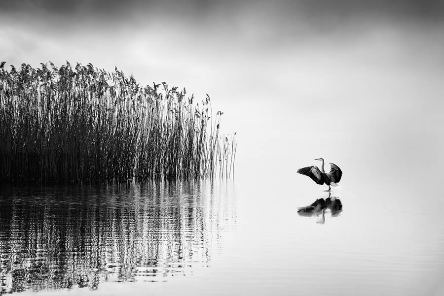 Black And White Landscape Photography By George Digalakis