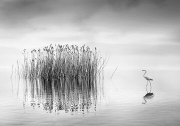 Black And White Landscape Photography By George Digalakis