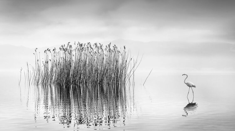 Black And White Landscape Photography By George Digalakis