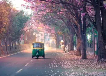 A green auto-rickshaw drives down a road lined with pink blossoming trees in India